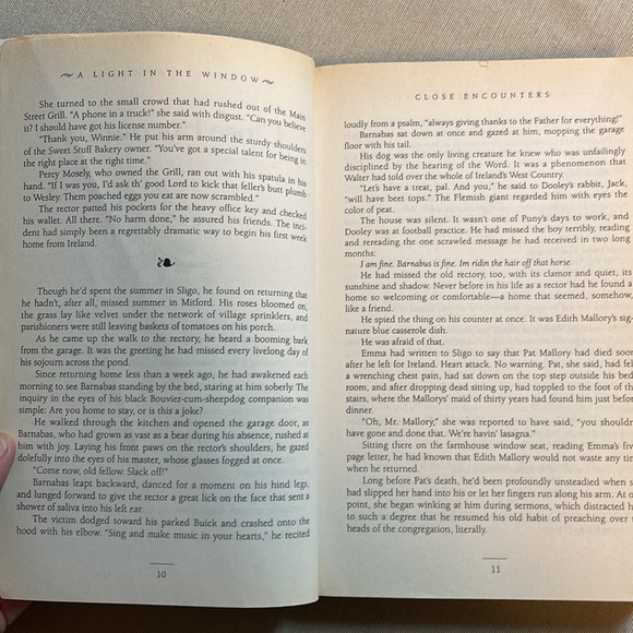 🌈2/$8  A Light in the Window #2 in the Mitford Years Series - Picture 9 of 12